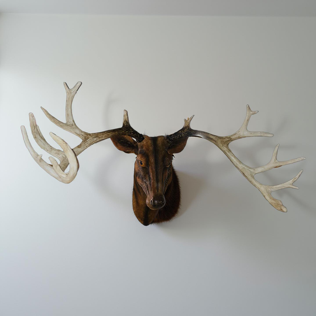 Majestic Stag Wall Sculpture