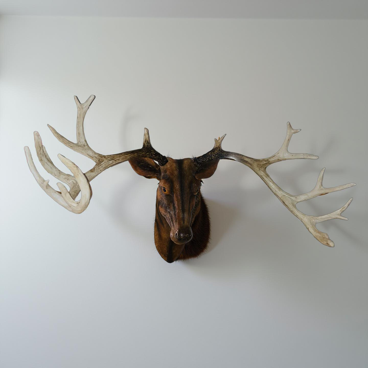 Majestic Stag Wall Sculpture