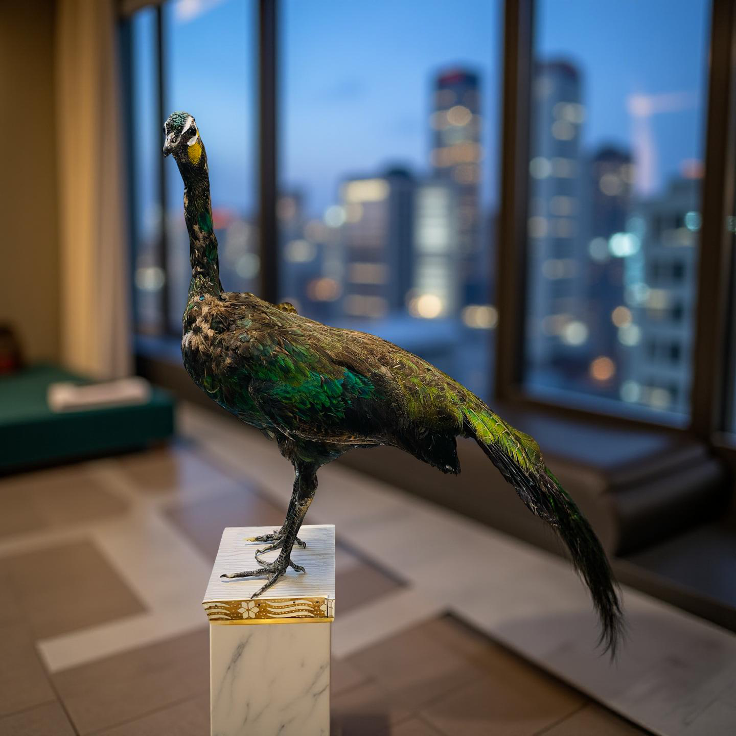 Original Stuffed Peacock on Wood Base