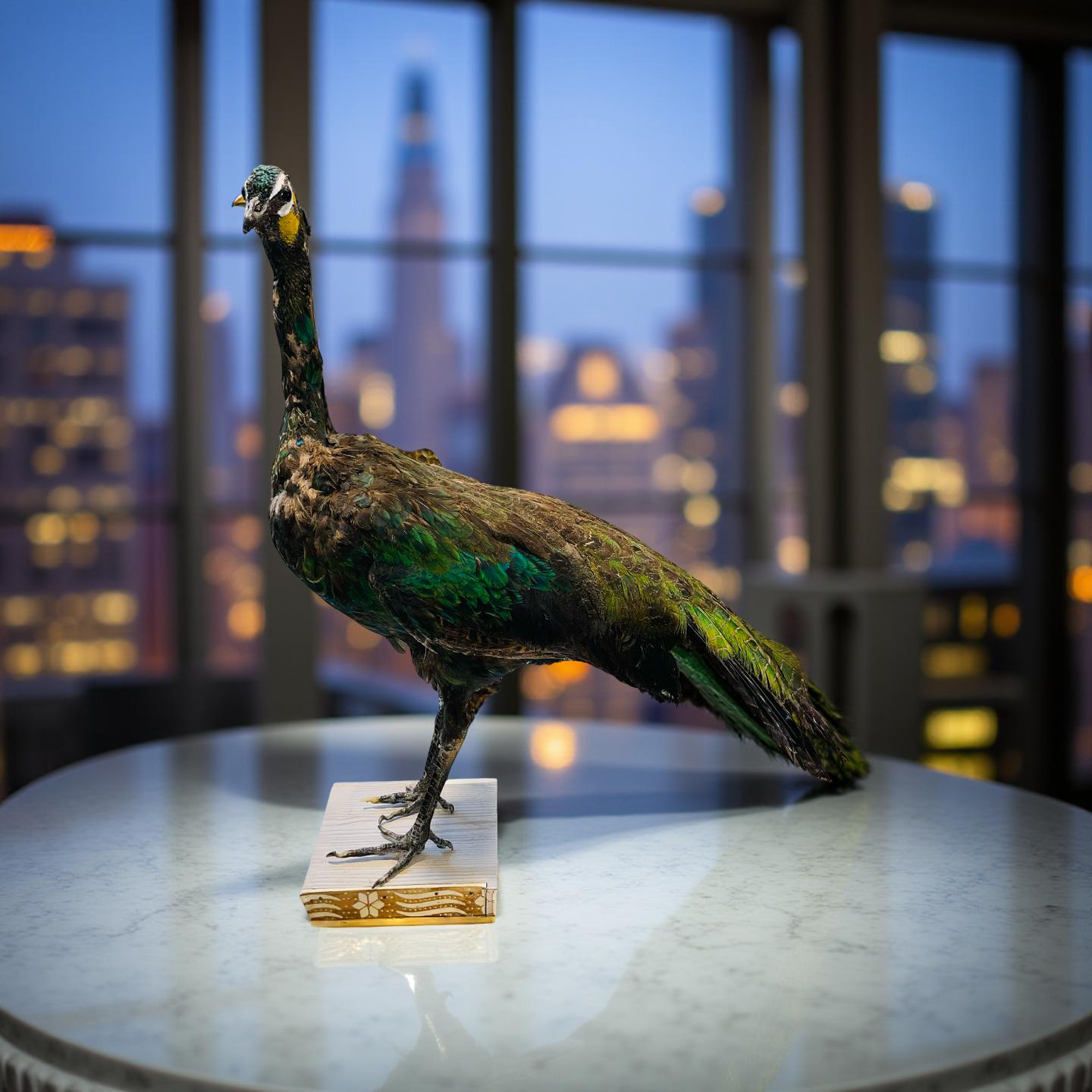 Original Stuffed Peacock on Wood Base